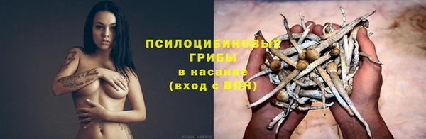 меф Арсеньев