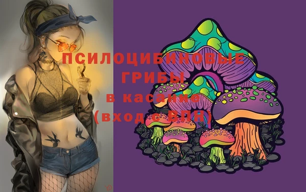 метадон Баксан
